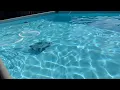 Intex Auto Pool Vacuum 28001E Review