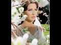 Ah w noss   Nancy Ajram with English Arabic lyrics