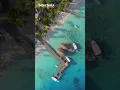Summer Music Mix 2024 🎶 Best Of Vocals Deep House 🎶 David Guetta, Rema, Alan Walker, Miley Cyrus