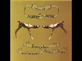 The Air - Modest Mouse