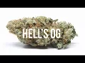 Hell s OG