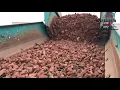 Midwest Crushing and Screening Brick Recycling