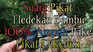 Download 🔴Suara pikat TLEDEKAN BAMBU 100% Ampuh Pake pikat ||  G.A.I KICAU MP3