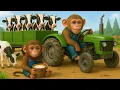 Download Lagu Monkey Farmer Herds Cows And Transports Them To The Farm For Care - Monkey Farm Work | CoCo Farm