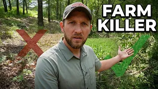 The Biggest Mistake Made On A Recreational Farm