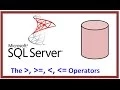 SQL Server - Query Record Data