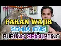 Download Lagu PAKAN WAJIB SEMUA BURUNG SRIGUNTING
