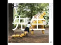 Sensei - Seal Pillow