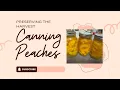 Canning fresh peaches