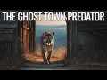 Download Lagu The Mountain Lion That Haunts a Ghost Town