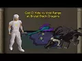 OSRS - Killing Brutal Black Dragons using God D Hide and Toxic Blowpipe is it worth it