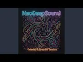 Lagu NeoDeepSound (Techno x Nay)