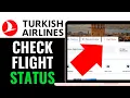 How to Check Flight Status Turkish Airlines 2025 QUICK GUIDE
