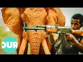 Lagu The Poachers Who Killed Satao, Kenyas Most Beloved Elephant | Animal Black Ops | Our World
