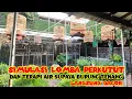 Download Lagu SIMULASI LOMBA PERKUTUT DAN SUARA GEMERICIK AIR UNTUK MERANGSANG BURUNG CEPAT BUNYI