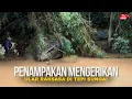 Download Lagu Geger di Thailand‼️ Kemunculan Ular Raksasa di Tepi Sungai Jadi Viral, Warga Ramai Datang Melihat...