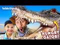 Feeding 150 HUNGRY ALLIGATORS