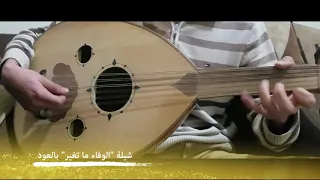 شيلة  الوفاء ماتغير  بالعود دندنها