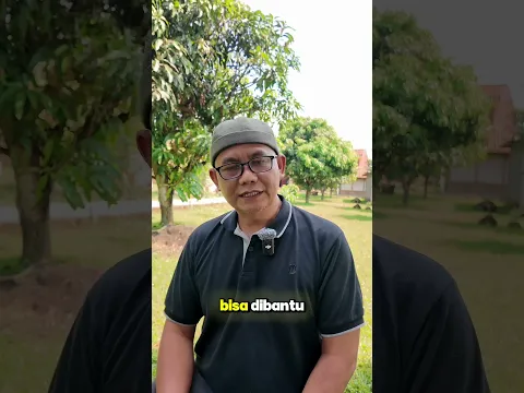 Perut Anda Begah Setelah Makan?