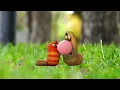 Download Lagu larva bubble gum full