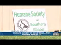 Humane Society of Southern Illinois to close after nearly 70 years