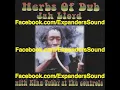 Jah Lloyd with King Tubby At The Controls - "Herbs Of Dub"