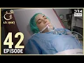 Download Lagu Ain Ishq | Episode 42 | One Love Turkish Drama Urdu Dubbed | UD1O