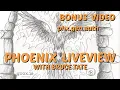 Programmer Passport Phoenix LiveView - Bonus