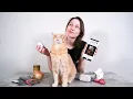 5 Human Foods Cats Can Eat And 5 To Avoid
