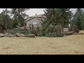 Evergreen tree removal company works street by street after windstorm leaves 78 calls for help
