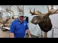 Are you looking for the perfect addition to your trophy room cabin or collection