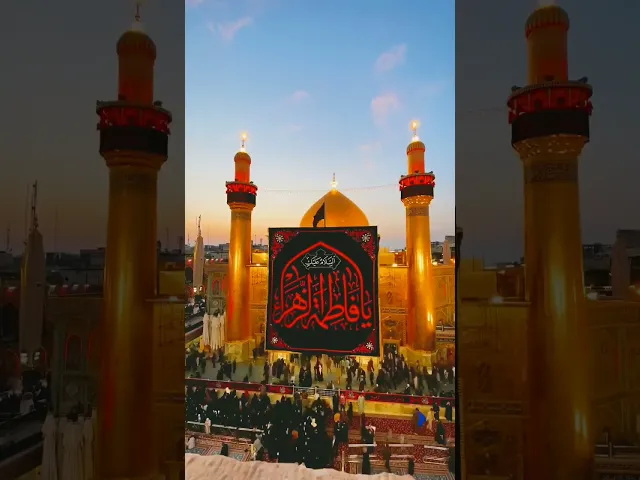 ⁣ستوري استشهاد فاطمة الزهراء عليها. حيدر البياتي