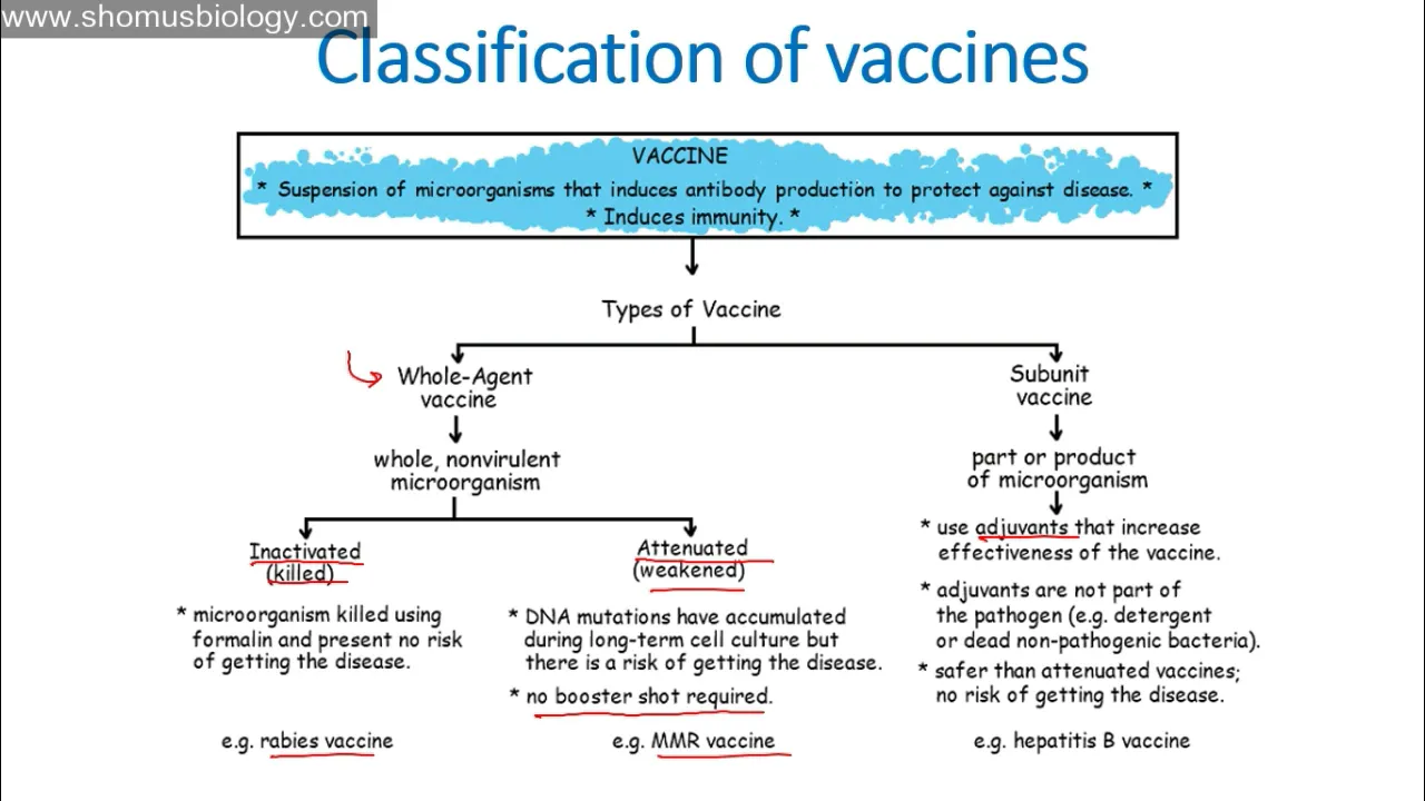 Vaccination Types: Live Attenuated, Inactivated & Subunit Vaccines Explained