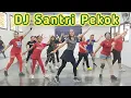 Download Lagu DJ Santri Pekok | Senam Kreasi Lagu Jawa | Choreo by SS Prambos