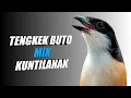 Download Lagu MASTERAN CENDET TEMBAKAN TENGKEK BUTO MIX KUNTILANAK