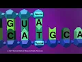 Lagu DNA and RNA - Transcription