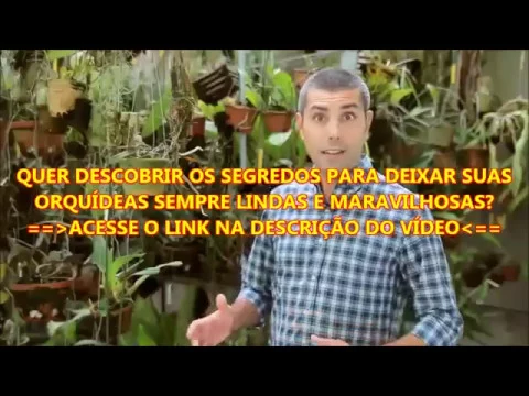 COMO CUIDAR DE ORQUIDEAS E COMO CULTIVAR AS ORQUIDEAS