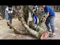 Don t Believe If Don t See Creative Guy Turns Worthless Tree Stump to Thousand Dollar Coffee Table