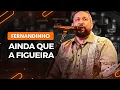 Download Lagu AINDA QUE A FIGUEIRA - Fernandinho | Como tocar na guitarra