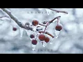 LoboFilms (DEMO) Paraleven - Hide ft. Mont Blvck