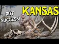 BIG BUCK AT 10 YARDS Our Kansas Public Land Bow Hunt
