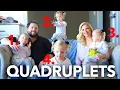 We Survived With Infertility And Now We Have Quadruplets