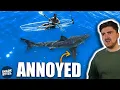 Shark Scientist Reacts to White Shark Kayak