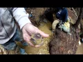The BIGGEST AMETHYST CRYSTAL EVER AT HANSEN CREEK Found by My Buddy Joel