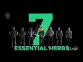 IKLAN HERBA MOJO NATURAL INGREDIENTS Ver.2 • 5s (2021)
