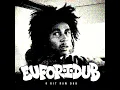 Bob Marley - Waiting in Vain (8bit Raw Dub version)