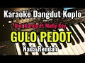 Download Lagu GULU PEDOT [ Dini Kurnia Ft Mufly Key ] Karaoke Dangdut Koplo || Nada Rendah