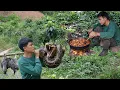 Lagu Surviving the Wild Tracking: Wild Pheasants, Setting Traps \u0026 Facing Giant Pythons