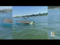 Ipswich police officer rescues 5 from capsized boat My first big ordeal