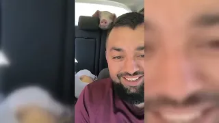 Wild Animals Doing the Most Unexpected Things 🐾🦁 Shockingly Hilarious 2026